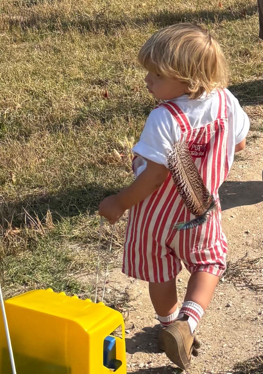 Quinta de experiências