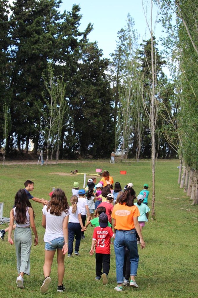 Celebrações no campo