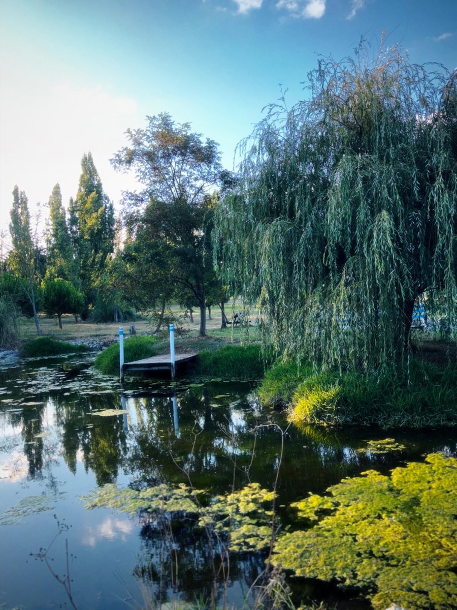 O lago